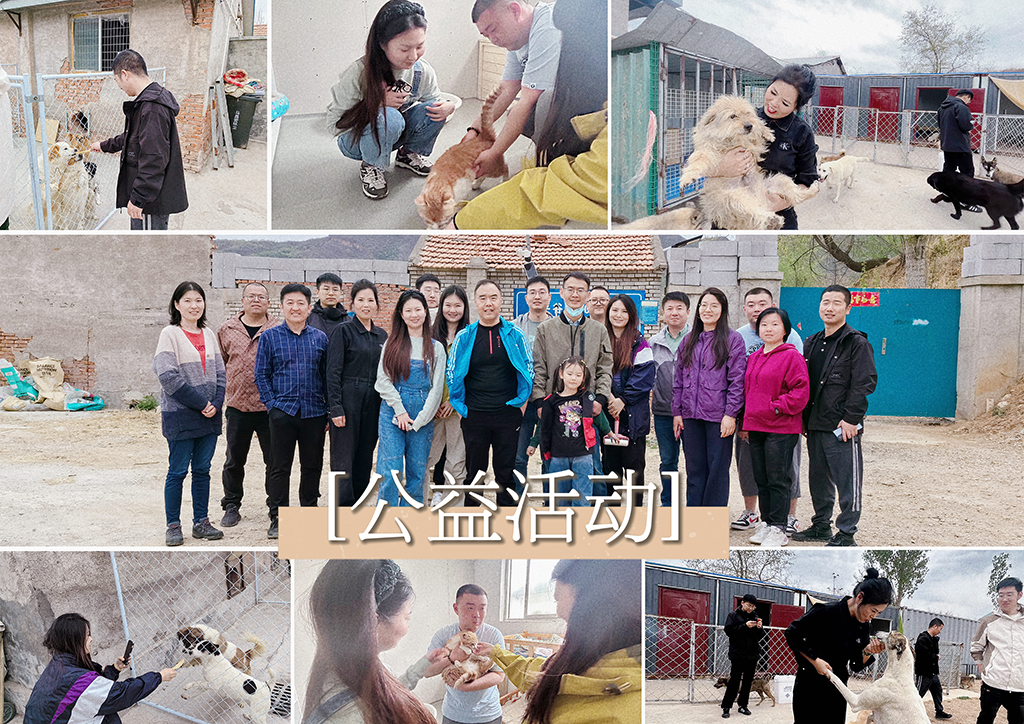 北京盛典博覽公司展現(xiàn)企業(yè)社會責(zé)任，探訪流浪狗基地并舉辦爬山團(tuán)建